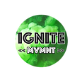 IGNITE Logo.PNG