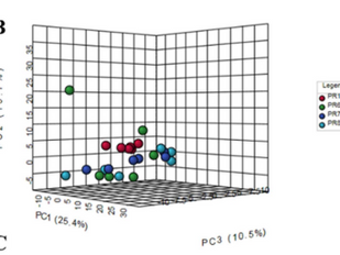Endophyte metabolomics links Brassica rapa fungi to immune gene activation