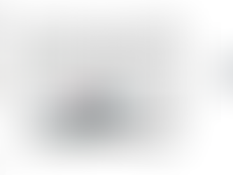 Endophyte metabolomics links Brassica rapa fungi to immune gene activation