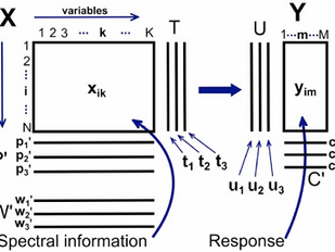 Advanced Metabolomics and Lipidomics Services: Transforming Multivariate Analysis in Biomedical Research