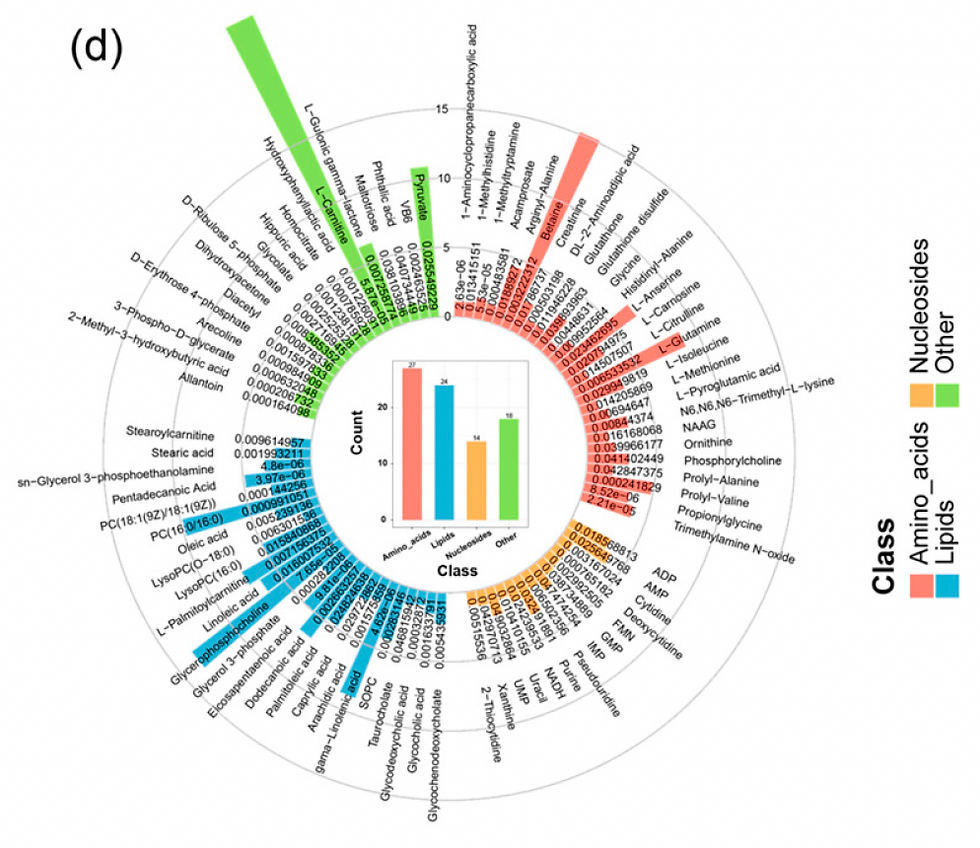 Circular histogram of 83 significantly different metabolites in yak longissimus lumborum comparing grain-fed and grass-fed groups, categorized into amino acids, fatty acids, nucleosides, and other compounds (derived from Figure 2D).