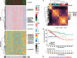 Multi-Omics Integration: Immune-Active Colorectal Cancer