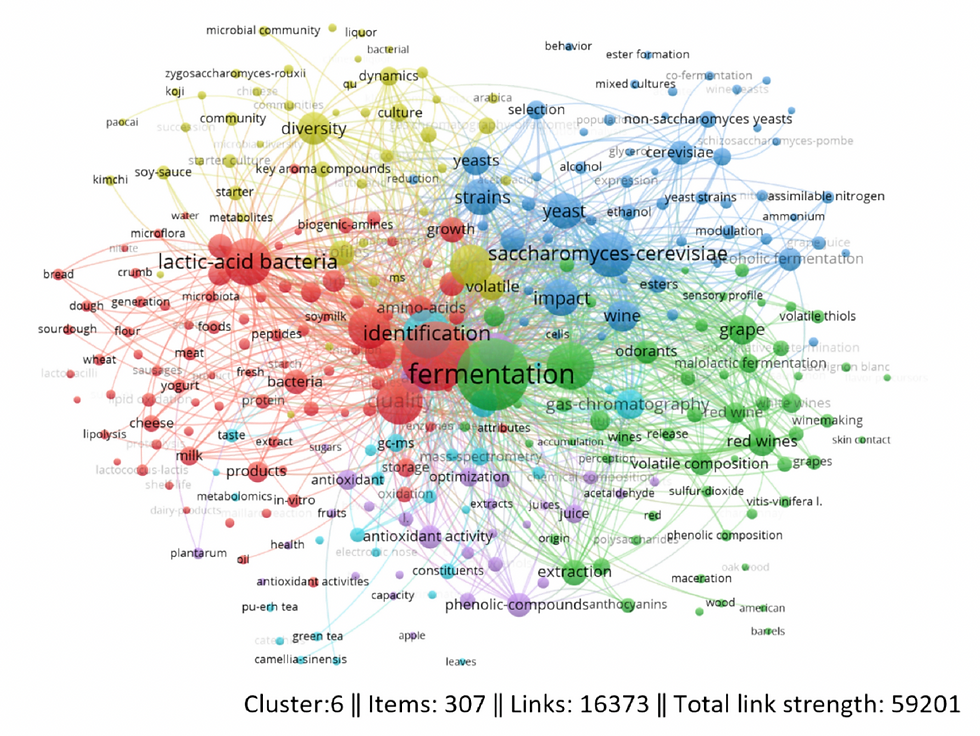 Three-panel bibliometric figure with a keyword co-occurrence network for fermented food flavor research, an annual publications and citations trend from 2000 to 2025, and a word cloud of commonly studied fermented foods such as soy sauce, fermented sausages, yogurt, beer, wine, and milk (derived from Figure 1).