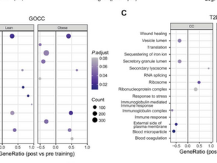 Adipose Proteomics in Type 2 Diabetes: Exercise-Responsive Signatures in scWAT