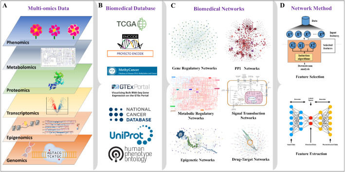 Workflow diagram showing multi-omics layers flowing into databases,
network construction, and network-based analysis steps for drug discovery.