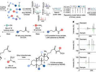 Reverse metabolomics links MS/MS to phenotype with MASST and ReDU