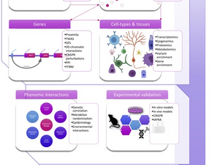 Multiomic Integration Reveals New Insights into Parkinson's Disease: From Genetic Links to Functional Mechanisms