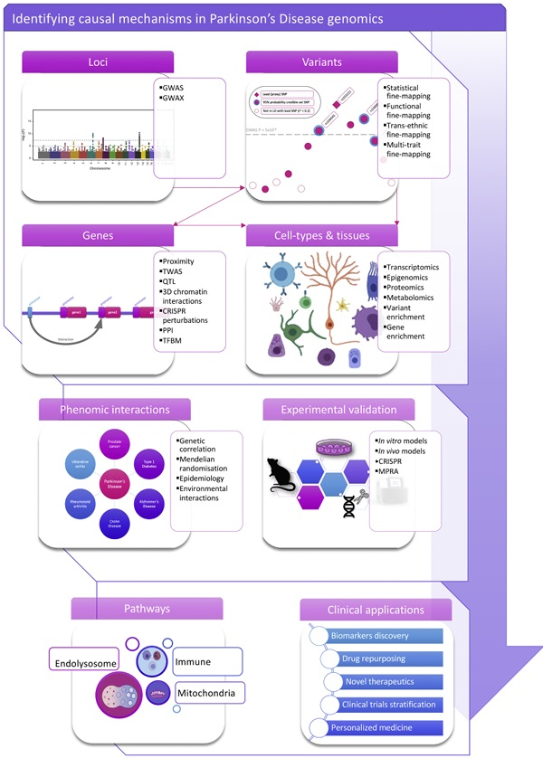 Comprehensive multi-omics analysis workflow showing integration of genomics, proteomics, and metabolomics data for precision medicine applications