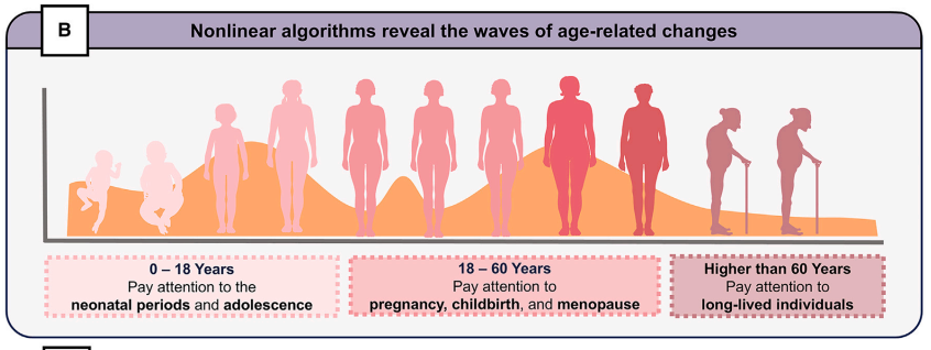 Illustration of lifespan silhouettes with a wavy curve marking peaks of age-related change at youth, reproductive years, and late life.