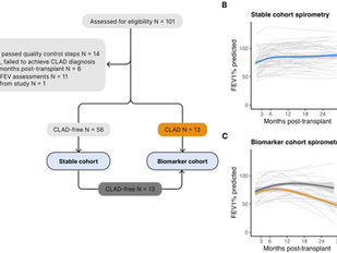 Multi-Omics: Airway Markers Flag Lung Allograft Decline