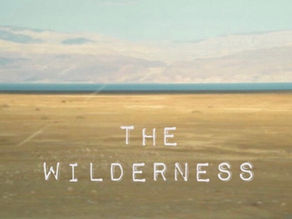 The Wilderness