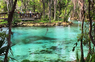 Three-Sisters-Spring-in-Crystal-River.jpg