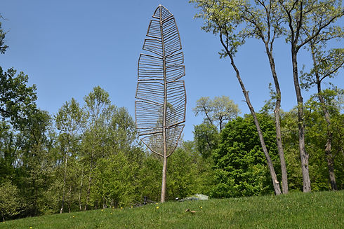 Feather Point by Olga Ziemska