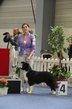 Lucy at CACIB Oberwart