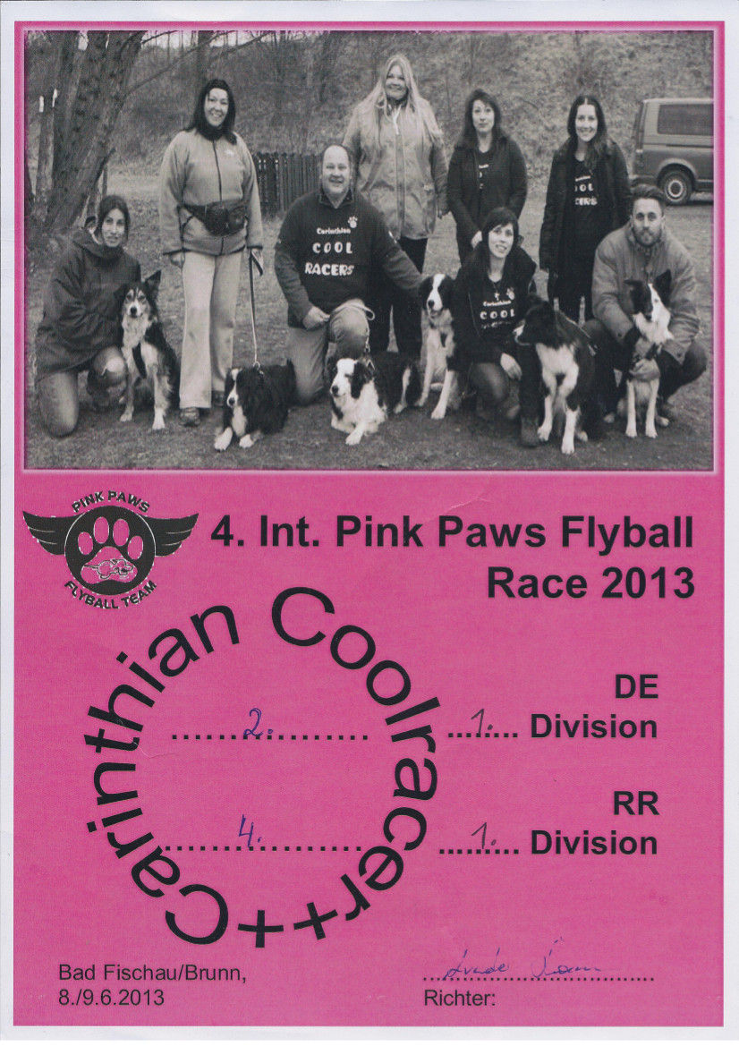 Pink Paws Flyball Race 9.6.jpg