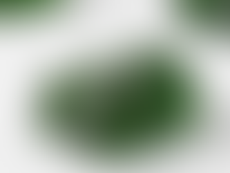 Making Edibles Work Sooner: A Practical Look at Sublingual Cannabis Formats