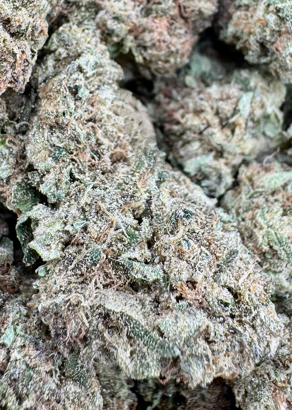 Thumbnail: Sticky Buns