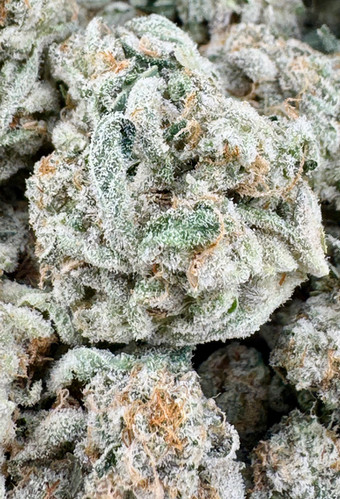 Space Dust Special | Cannabis Hunter SD