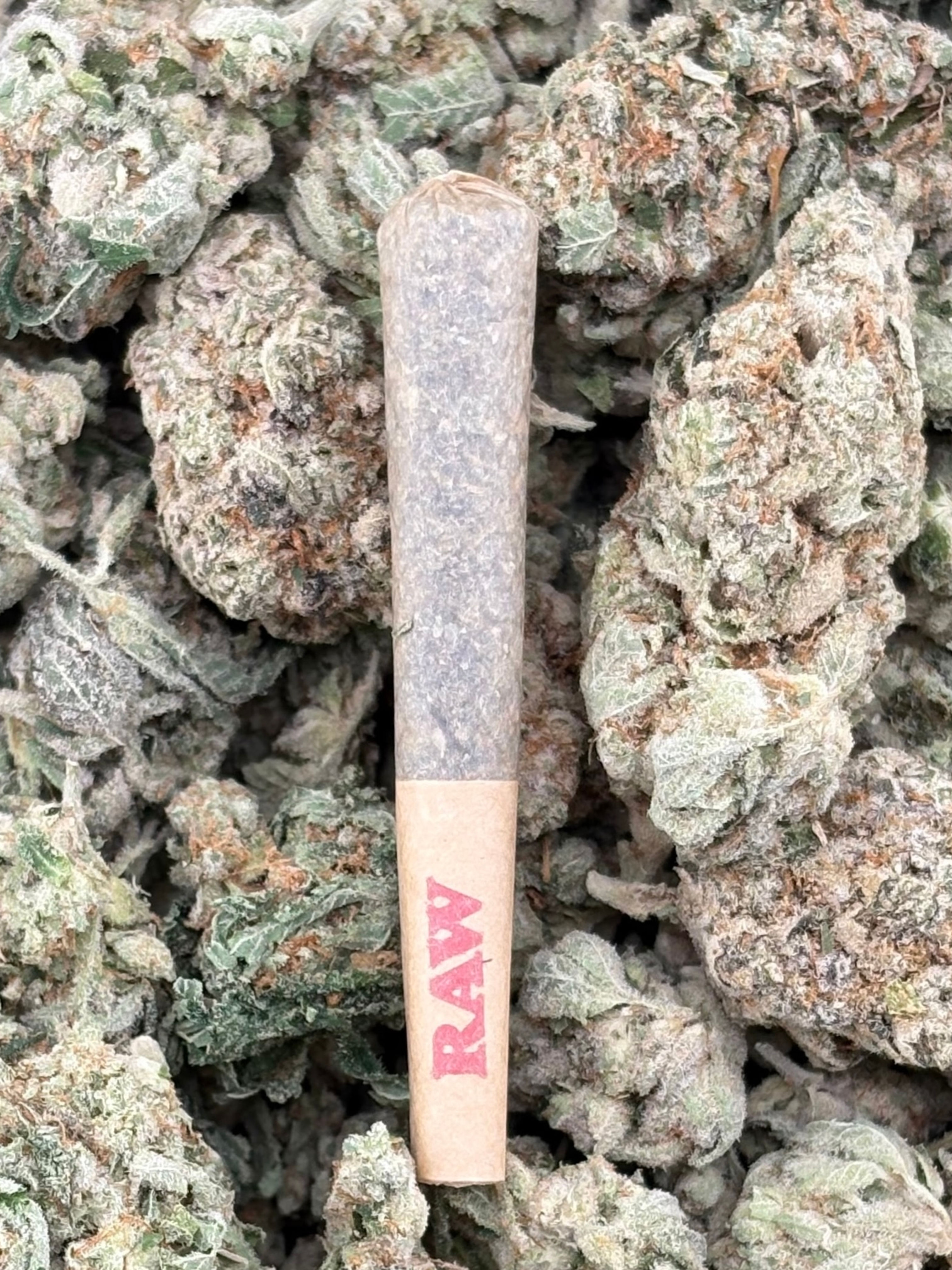 Puffy Peyton Hybrid Mini Preroll 