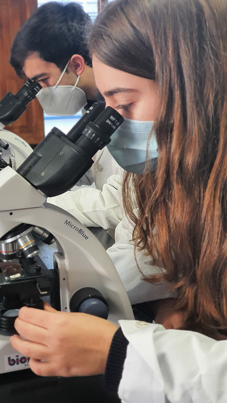 Foto bachiller laboratorio.jpeg