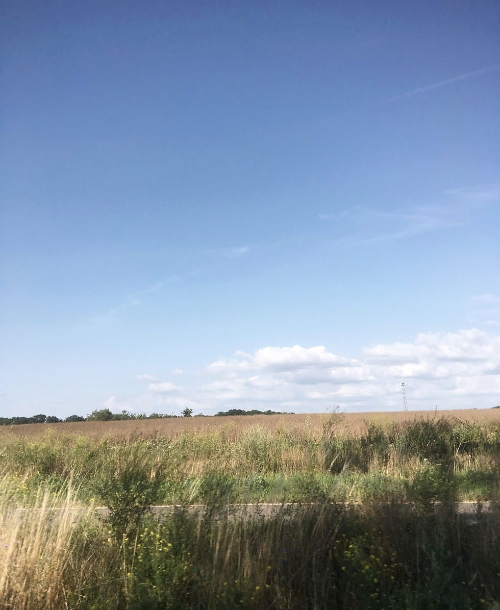 berlínské zápisky. léto