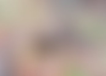 Cundinamarca: Encontraron fauna silvestre en la Serranía del Majuy, en Cota