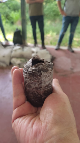 Innovador sistema de siembra sin bolsa plástica
