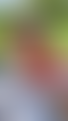 Inicia censo de apicultores en Cundinamarca