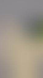 "Pueblos Dorados" para recuperar historia y cultura