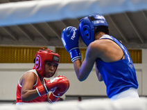 Ocho países se reunirán en Girardot para la copa América de Boxeo