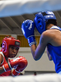 Ocho países se reunirán en Girardot para la copa América de Boxeo