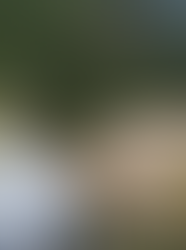 Atención de emergencias por lluvias atendidas por el gobernador Jorge Emilio Rey