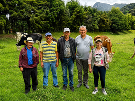 Transformar leche de asociaciones productoras de Cundinamarca, la estrategia del departamento