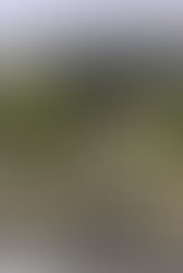 Soacha y Sibaté con contaminación hídrica de acuerdo a informe de la CAR