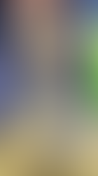 CAR recuperó ocelote en el municipio de Fusagasugá