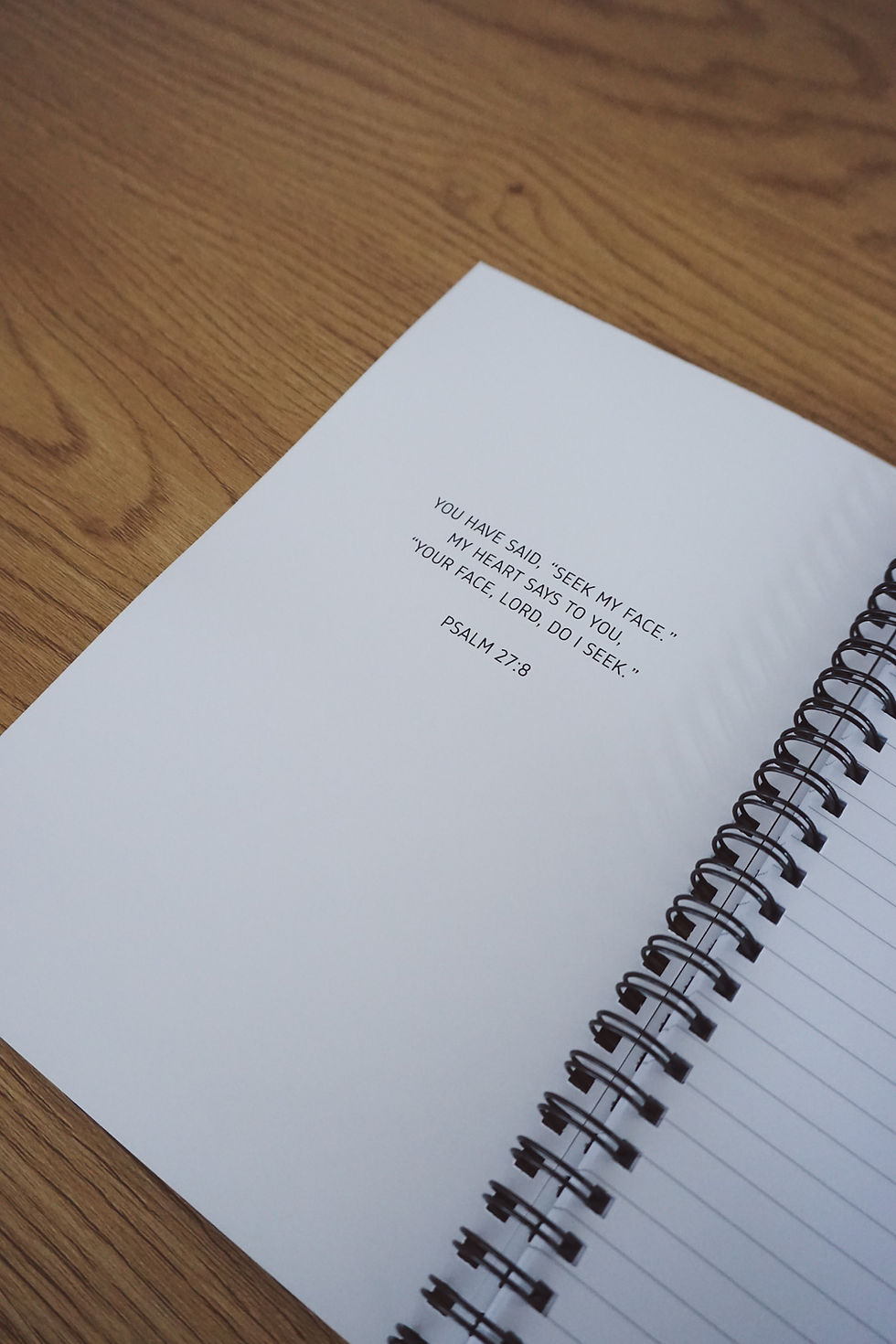 Miniaturbild: Notizbuch - "seek him first" in grün