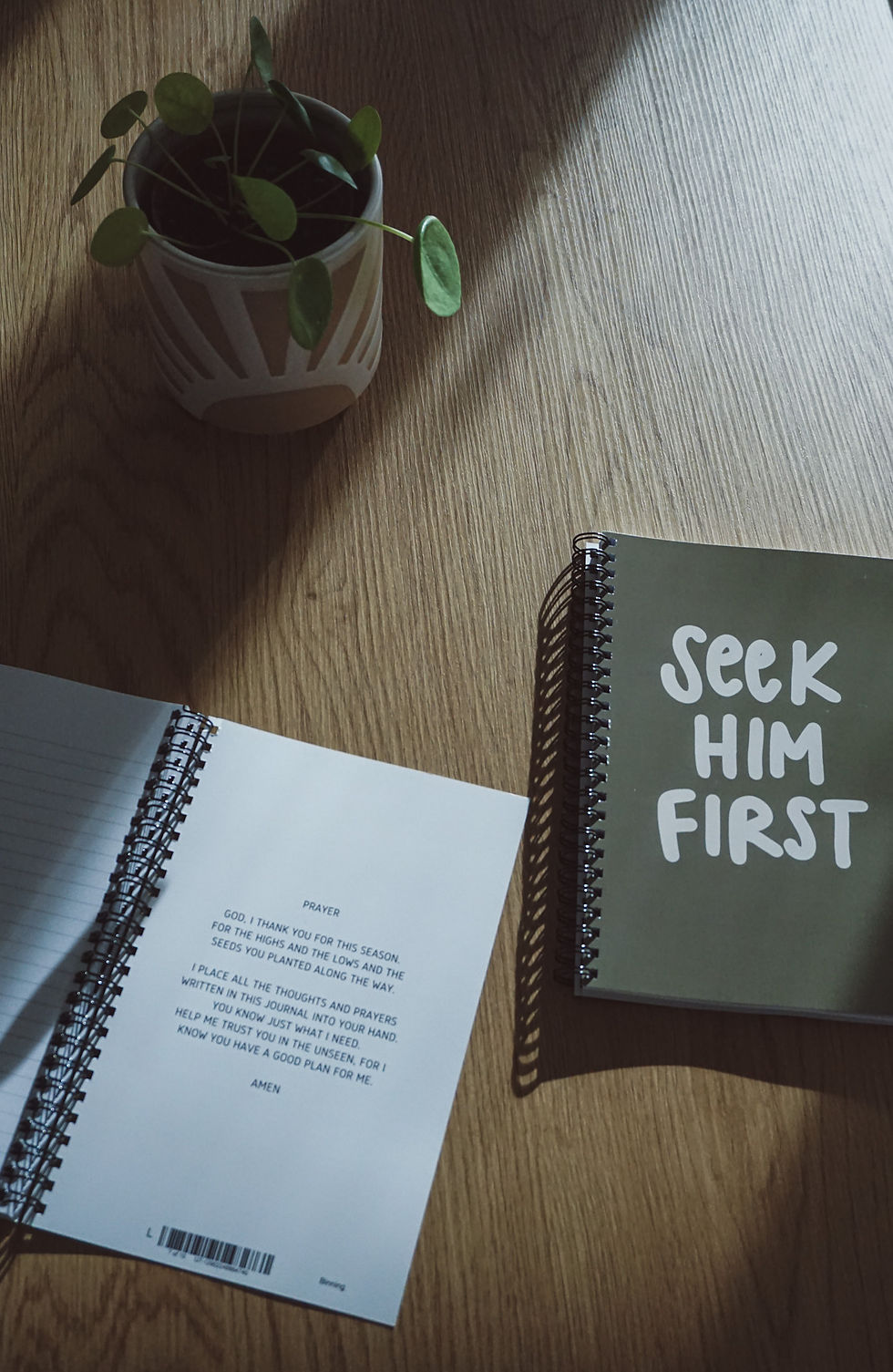 Miniaturbild: Notizbuch - "seek him first" in grün