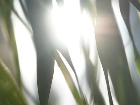 We're all in this together...