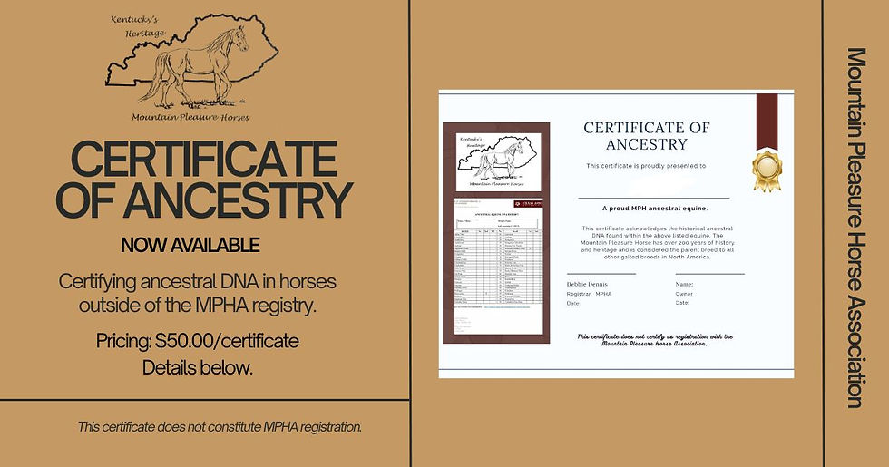 cert of ancestry 2026.jpg