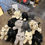 Thumbnail: Plush Cat Surprise - Litter 2