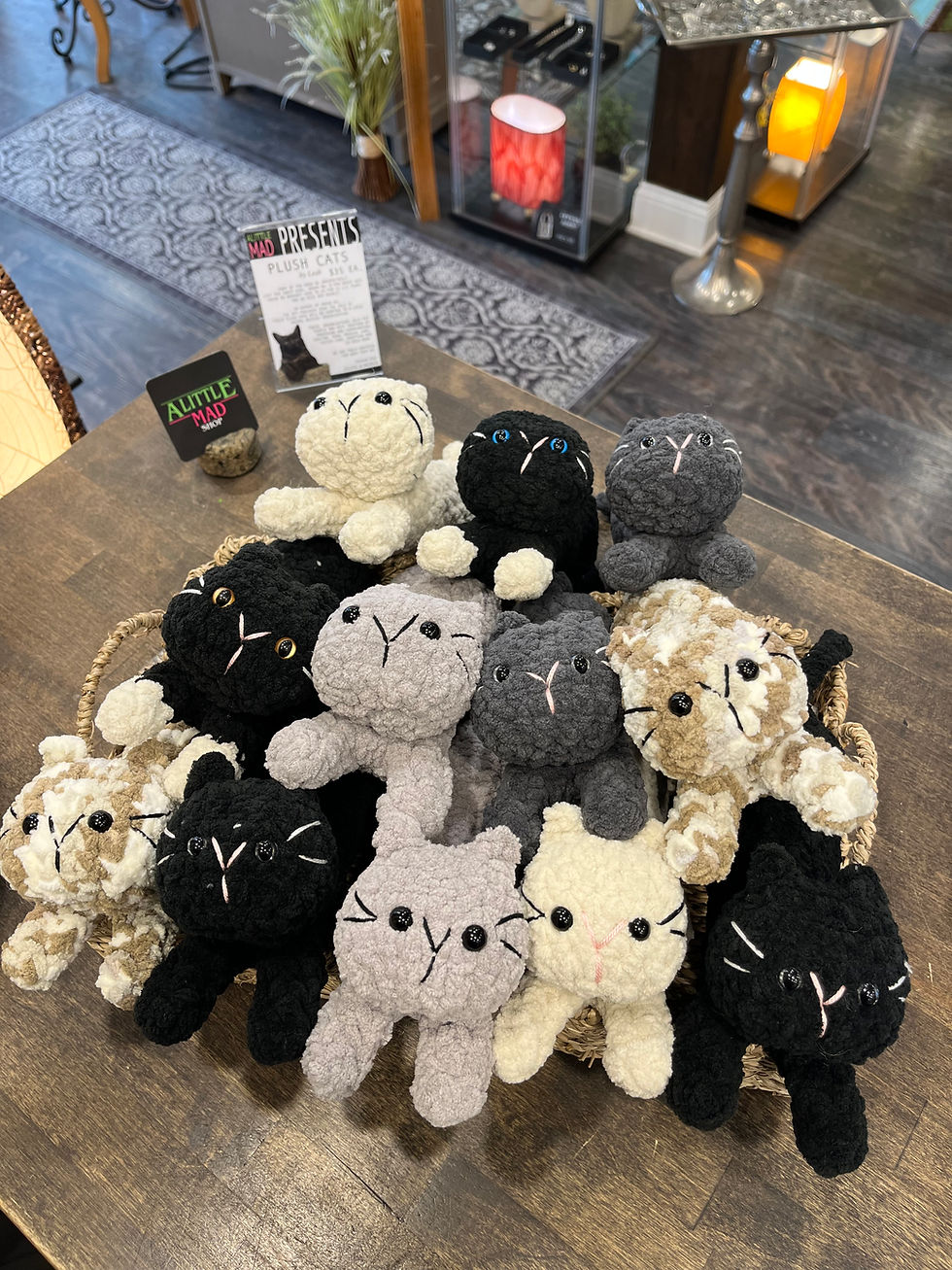 Plush Cat Surprise - Litter 2