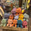 Thumbnail: Plush Cat Surprise - Litter 3