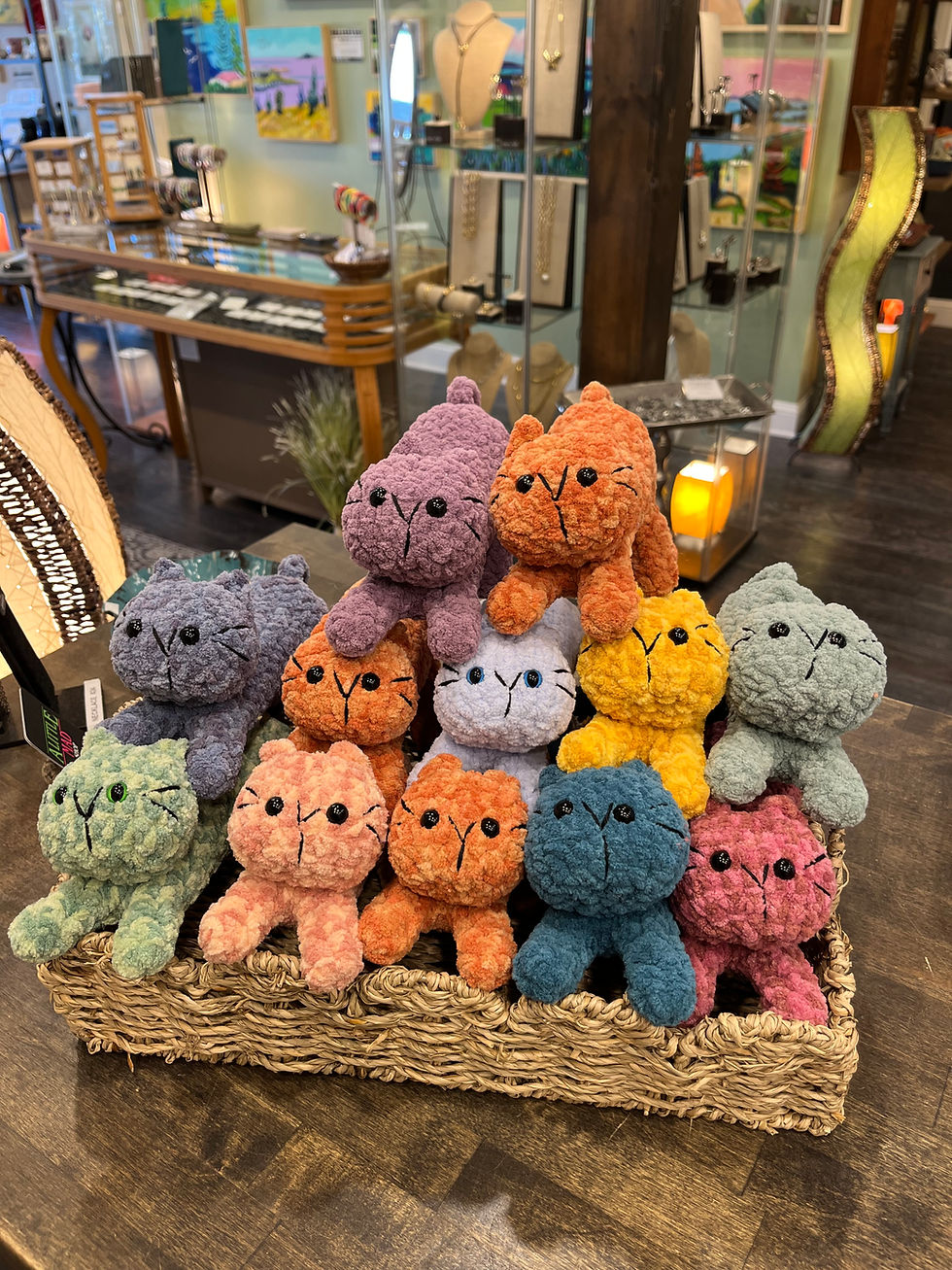 Plush Cat Surprise - Litter 3