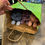 Thumbnail: Plush Cat Surprise - Litter 1
