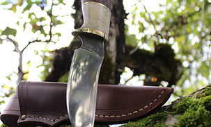 Sanhiager Horn total1.JPG