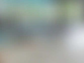 Spring Bungee Fitness