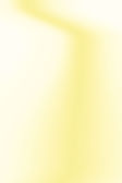 fond-jaune.jpg