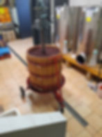 Vendemmia e produzione del vino