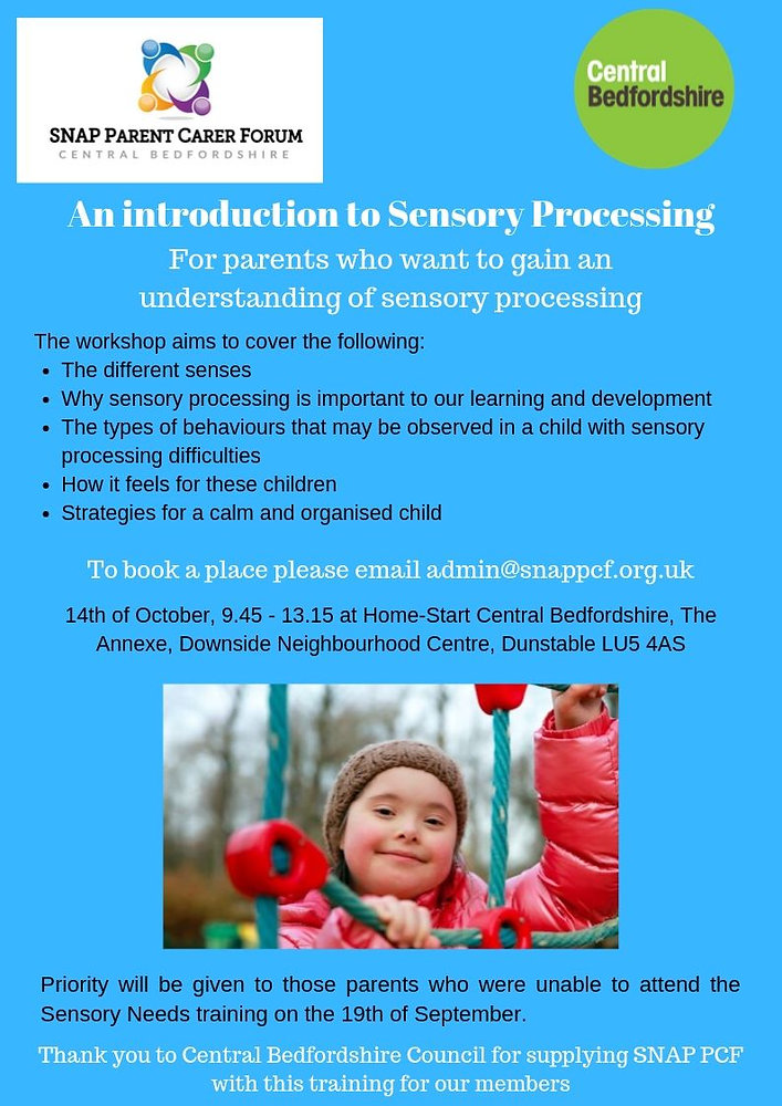 An Introduction To Sensory Processing By Snap Pcf
