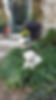136784992_10222005727864568_3289210235888303634_n.jpg